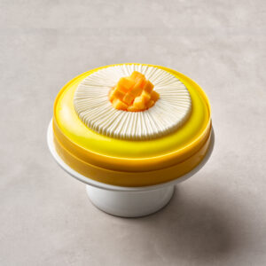 Coconut Mango Cake